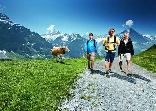 Full-day trip to Grindelwald and Interlaken from Lucerne