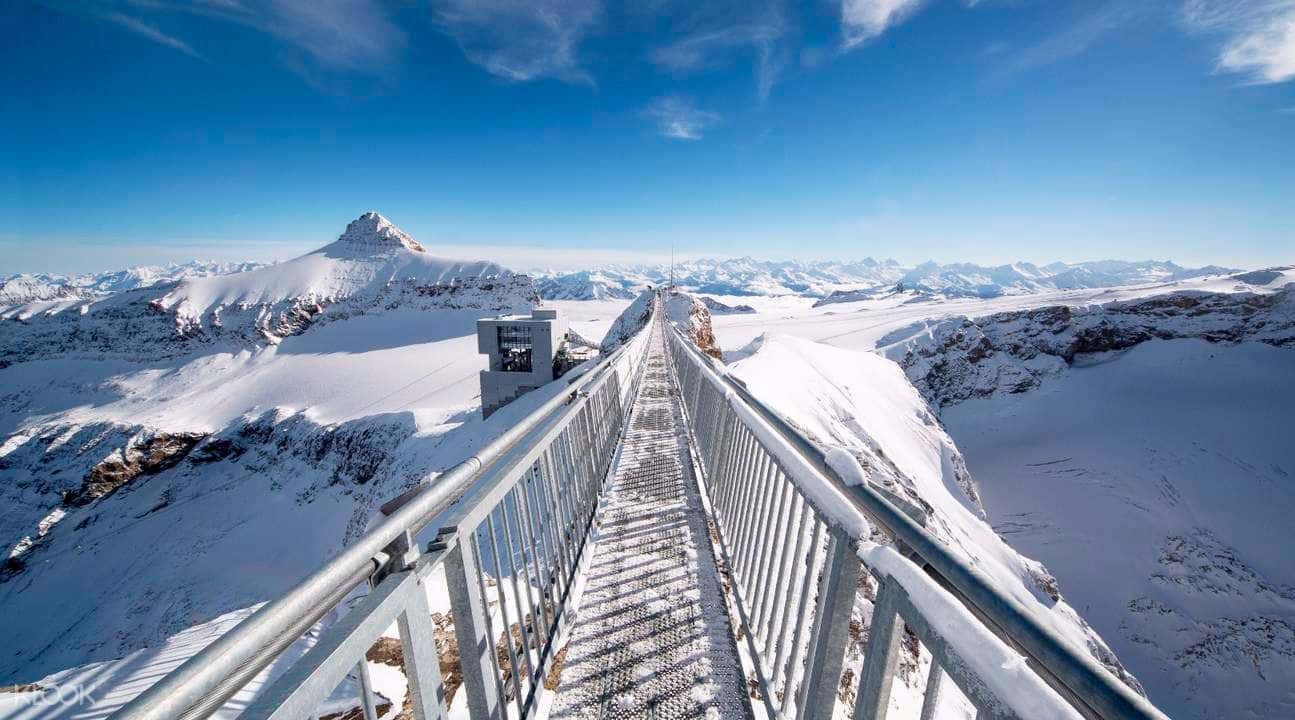 Glacier 3000 and Montreux Day Tour from Geneva3