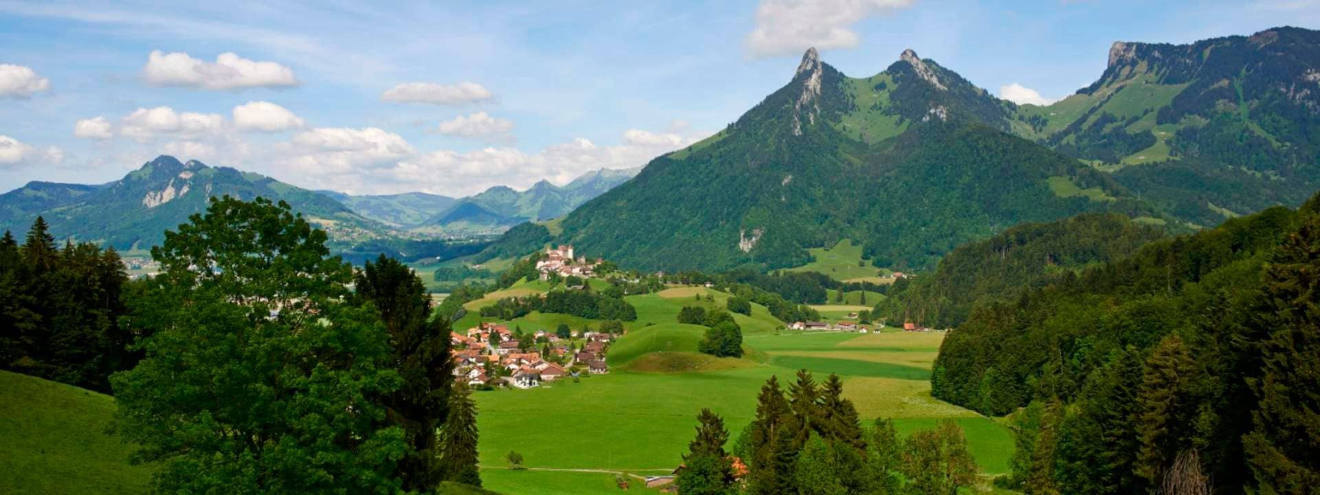 Gruyeres Day Tour with Golden Pass Train Ticket from Geneva