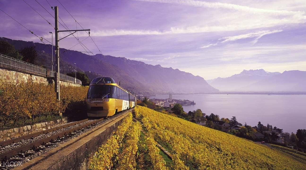 Gruyeres Day Tour with Golden Pass Train Ticket from Lausanne4