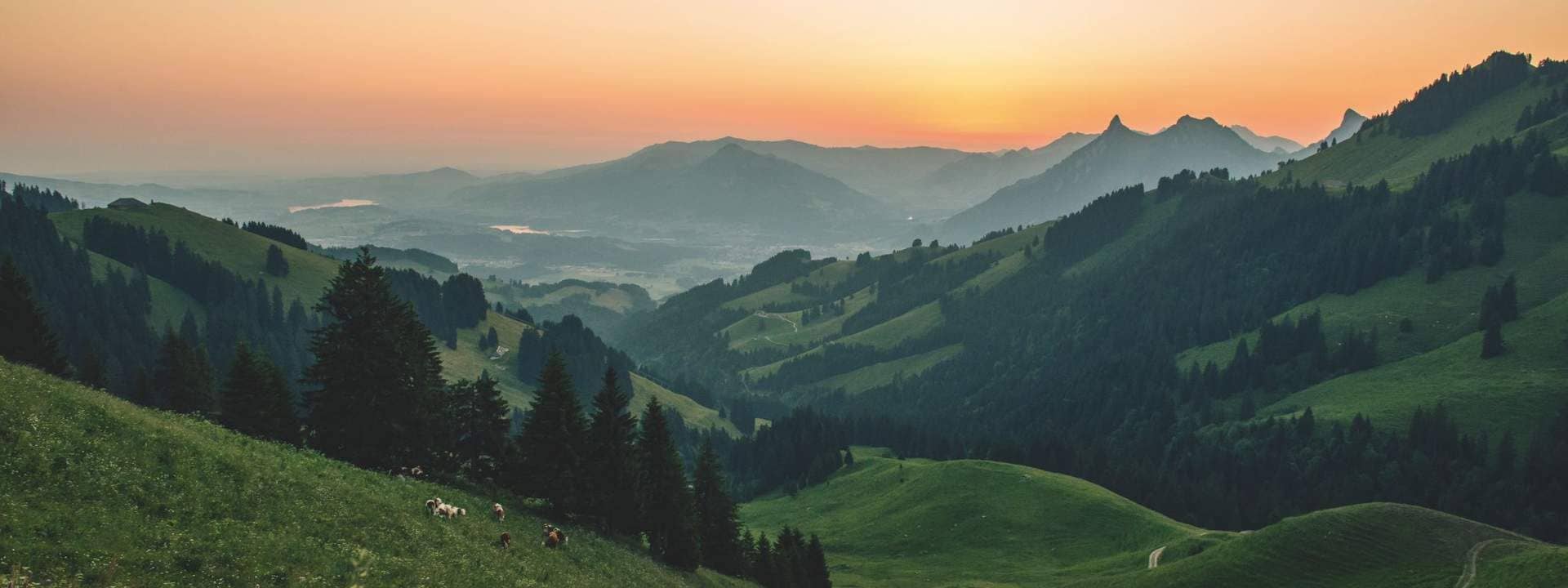 Gruyeres Day Tour with Golden Pass Train Ticket from Lausanne