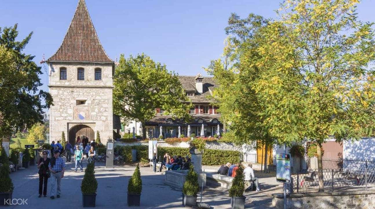 Half Day Tour to Rhine Falls and Stein am Rhein (Zurich Departure)2