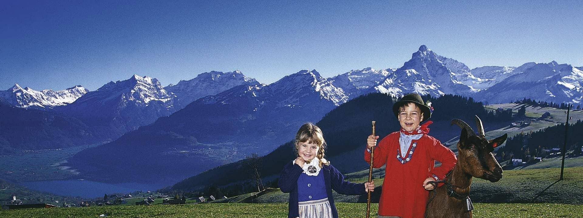 Heidiland & Liechtenstein Day Tour from Zurich