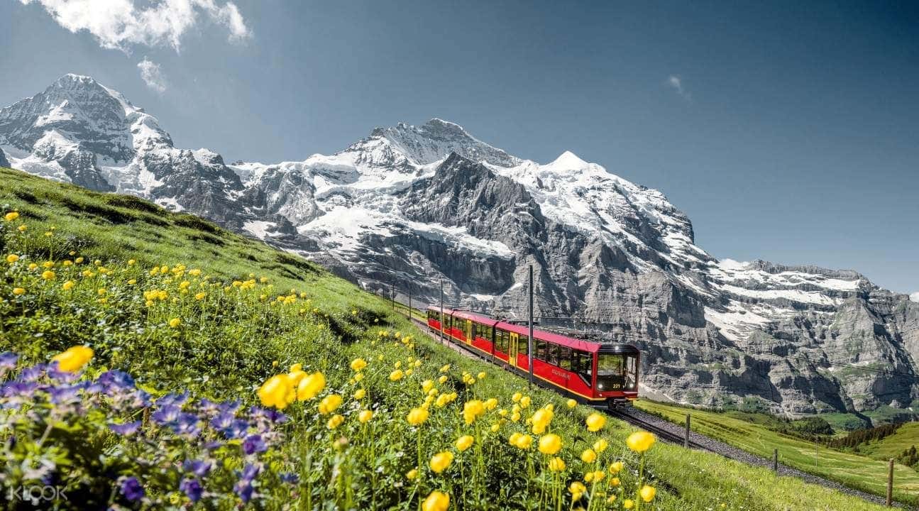 Jungfraujoch Top of Europe Attraction and Train Tickets from Lauterbrunnen1
