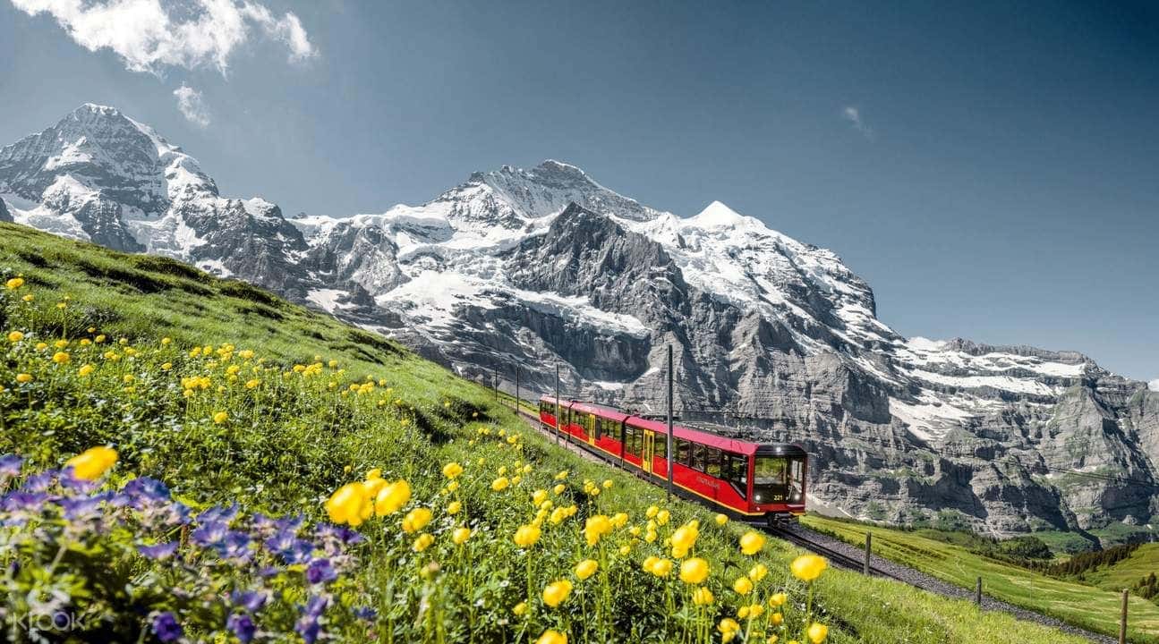 Jungfraujoch Top of Europe Train Ticket from Interlaken Ost1