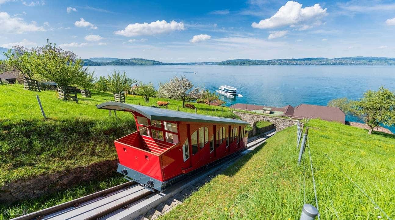 Lucerne and Bürgenstock Tour from Zürich4