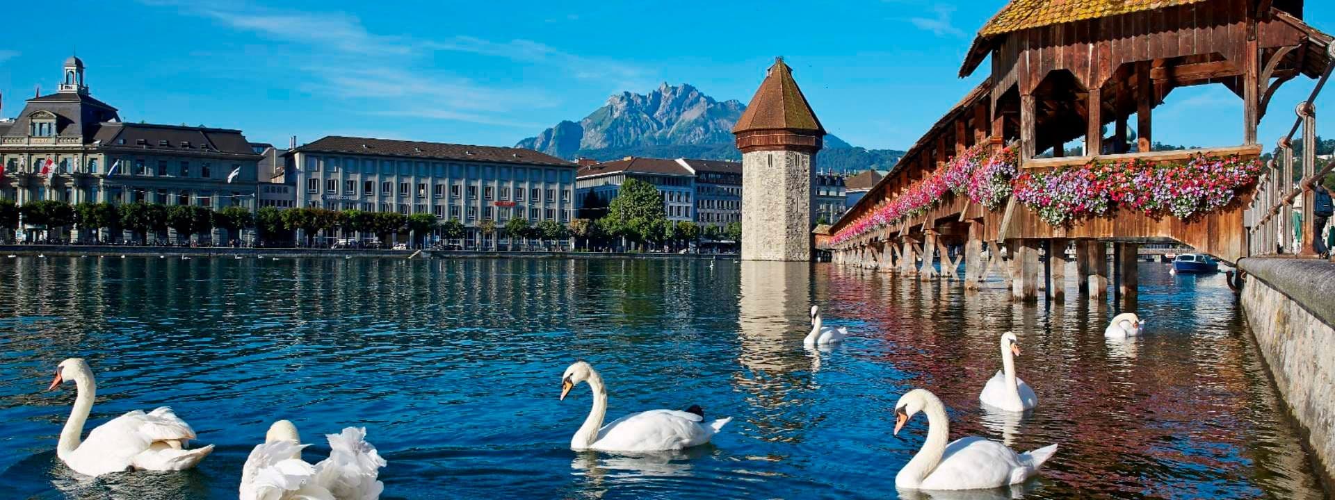 Lucerne City Tour and Yacht Cruise from ZÞrich