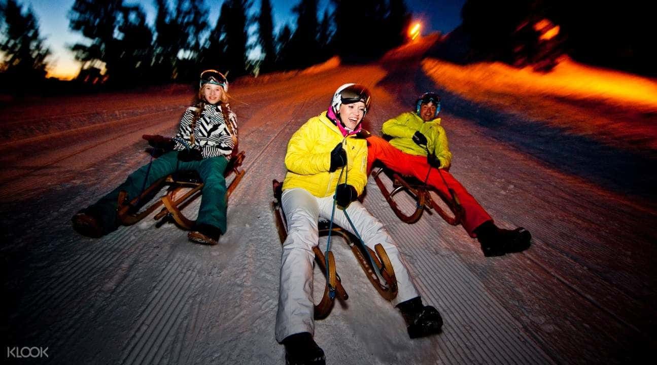 Sulwald Night Sledding Experience from Interlaken1