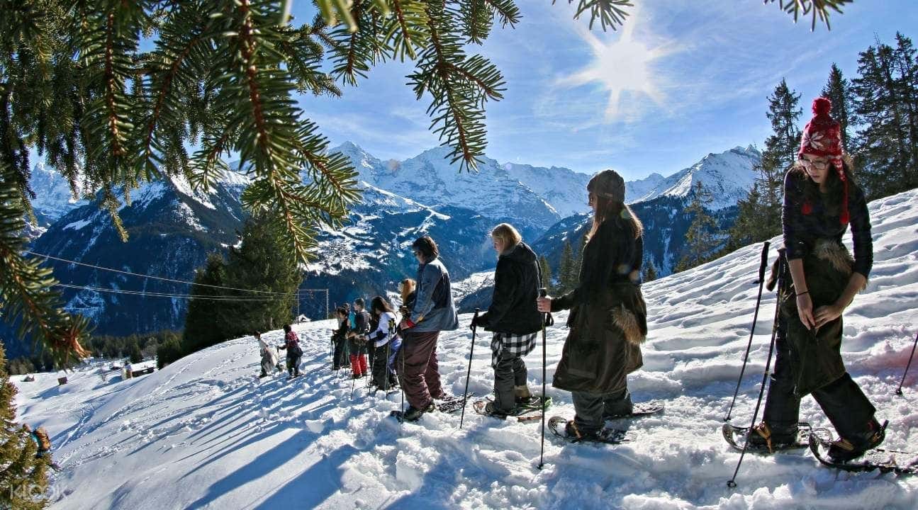Sulwald Snowshoeing Experience from Interlaken1