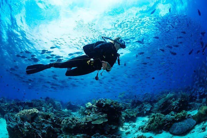 Scuba Diving Tour in Bodrum1