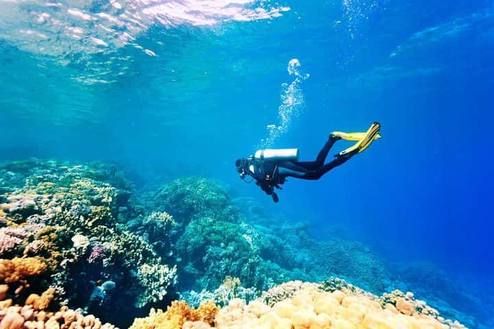 Scuba Diving Tour in Bodrum4