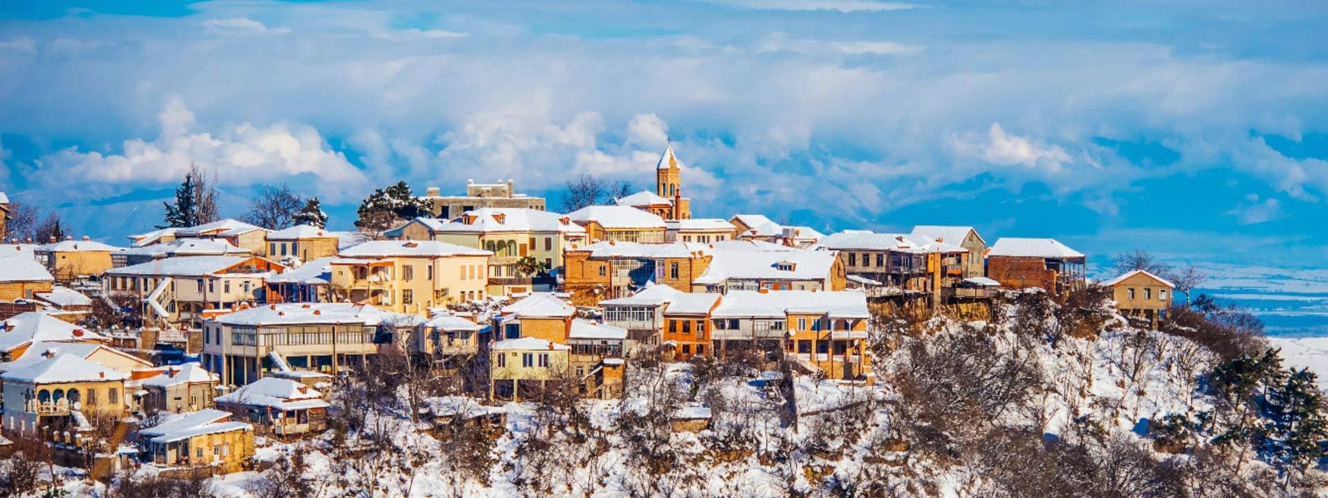 Kakheti Wine Region Tour from Tbilisi