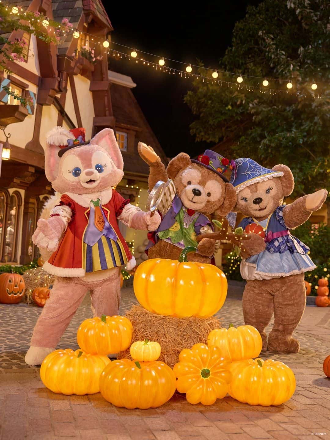 Shanghai Disneyland1