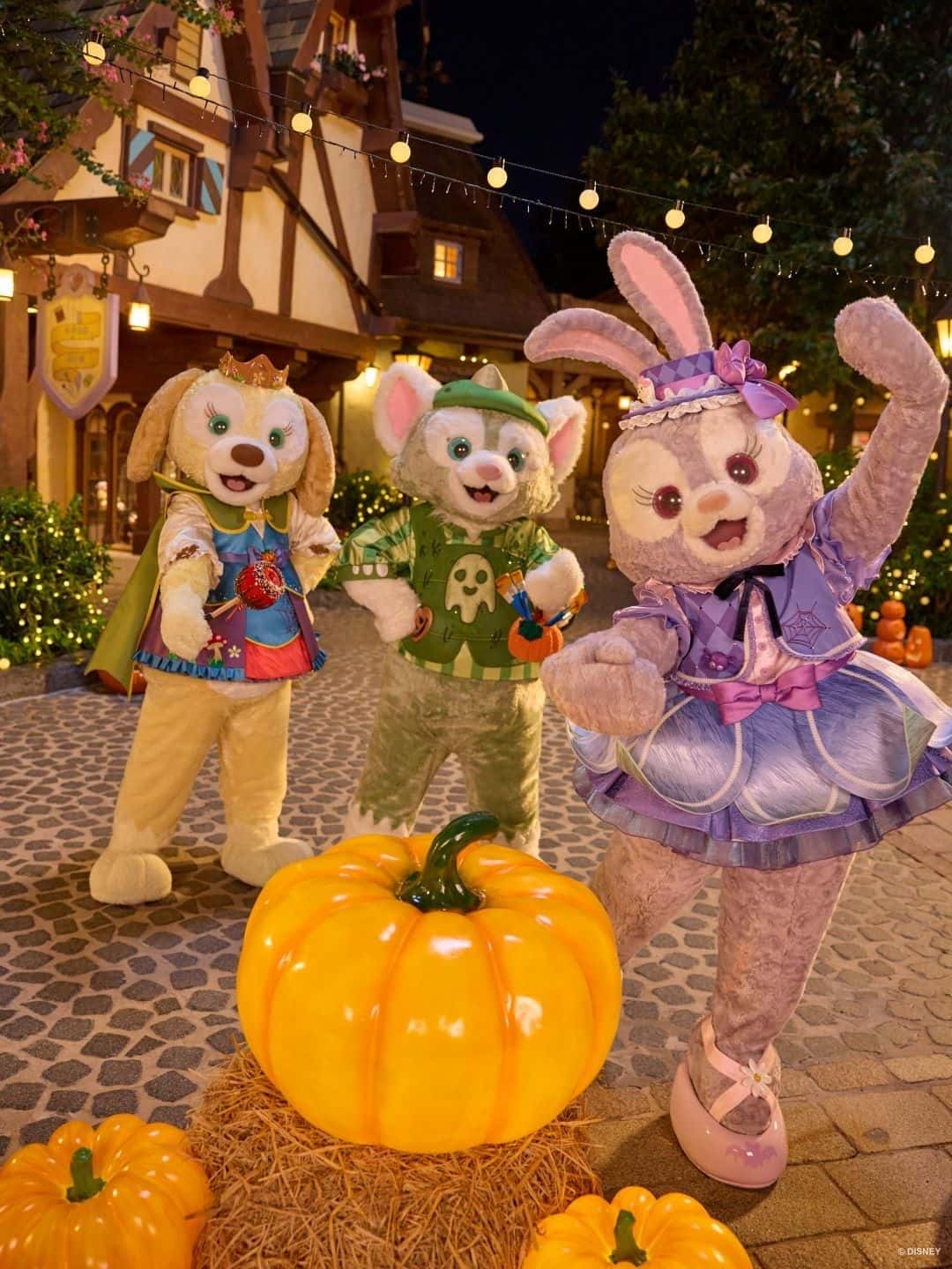 Shanghai Disneyland4