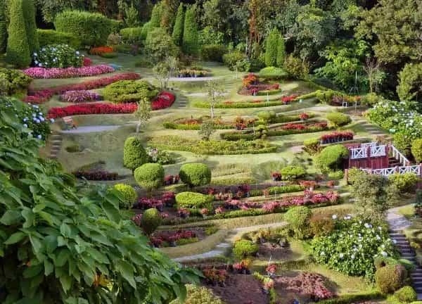 Doi Inthanon National Park Full Day Tour Trips and Day Trips3