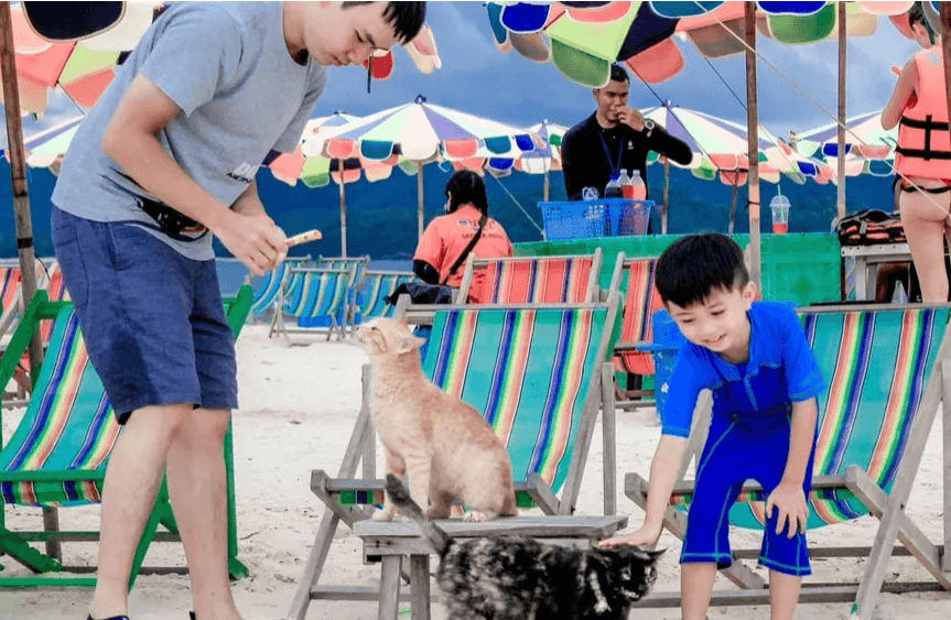 ทริปเที่ยวเกาะไข่ ครึ่งวัน ทริปเที่ยว และเดย์ทริป2
