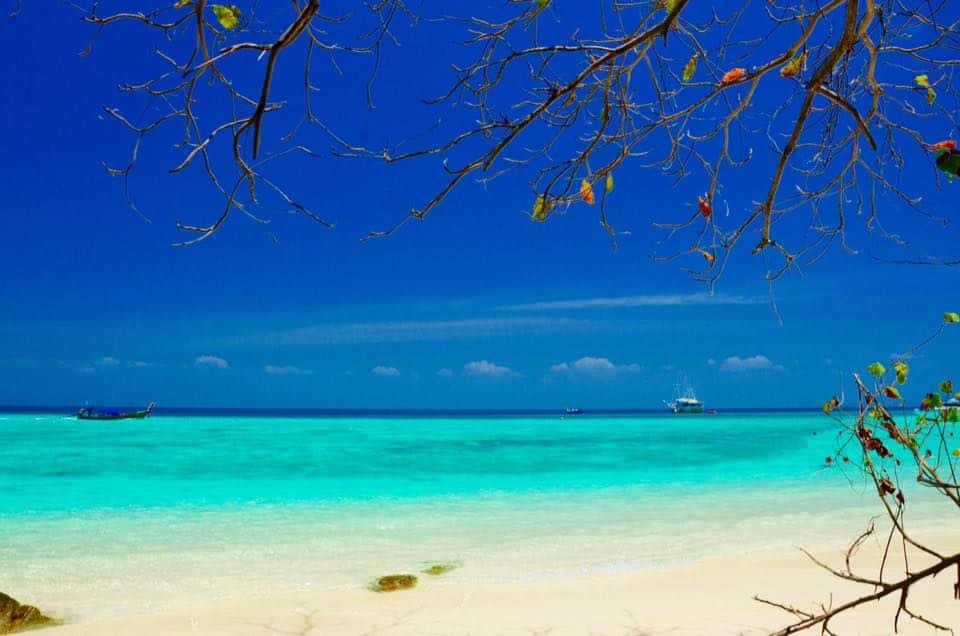 Phi Phi-Maya-Bamboo by Speedboat Trips and Day Trips4
