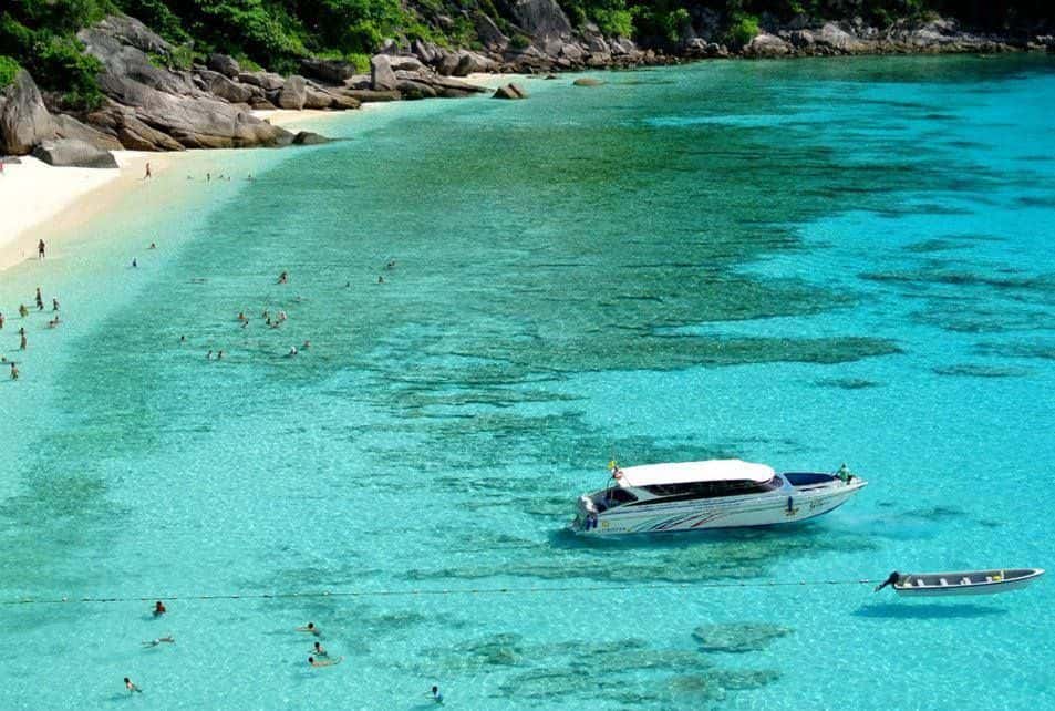 Similan Island by Speedboat Trips and Day Trips1