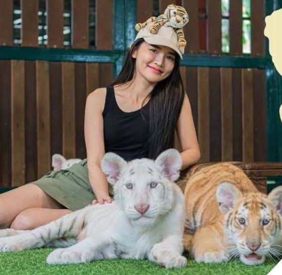 อาณาจักรเสือ เชียงใหม่ ทริปเที่ยว และเดย์ทริป3