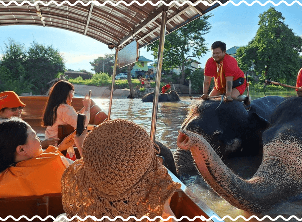 ประสบการณ์เที่ยวเชิงวัฒนธรรม ชมมรดกของไทยและสัตว์ป่า ที่อยุธยา (1 วัน) ทัวร์ส่วนตัว ทริปเที่ยว และเดย์ทริป2