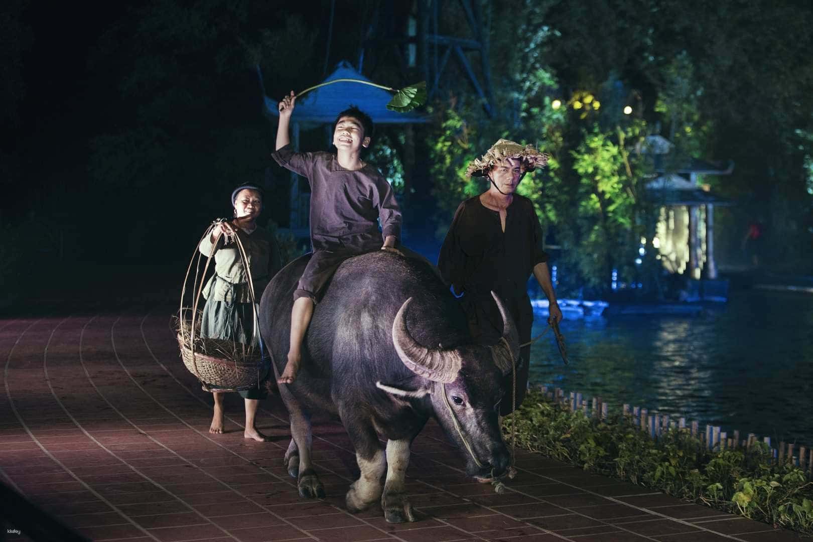 The Quintessence of Tonkin Show Ticket in Hanoi Vietnam2