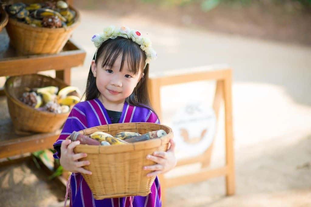 เอเลฟิน ฟาร์ม แอนด์ คาเฟ่ | เชียงใหม่1