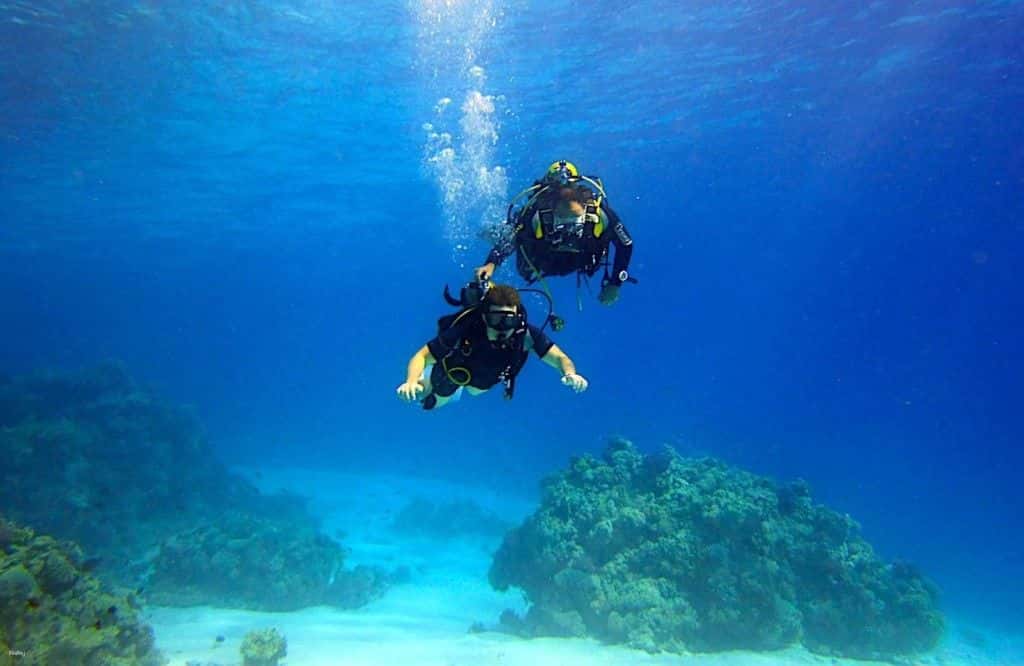 หลักสูตรการรับรองการดำน้ำ PADI เกาะเต่า | ประเทศไทย1
