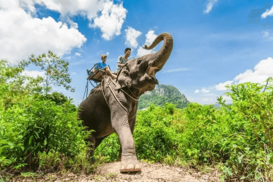 การผจญภัยในภูเก็ต: ล่องแก่ง ขี่รถ ATV ขี่ช้าง และอีกมากมาย3