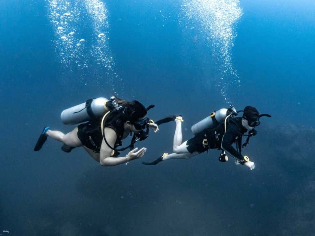 Basic Dive ที่ Koh Tao Scuba Diving Club | ประเทศไทย1