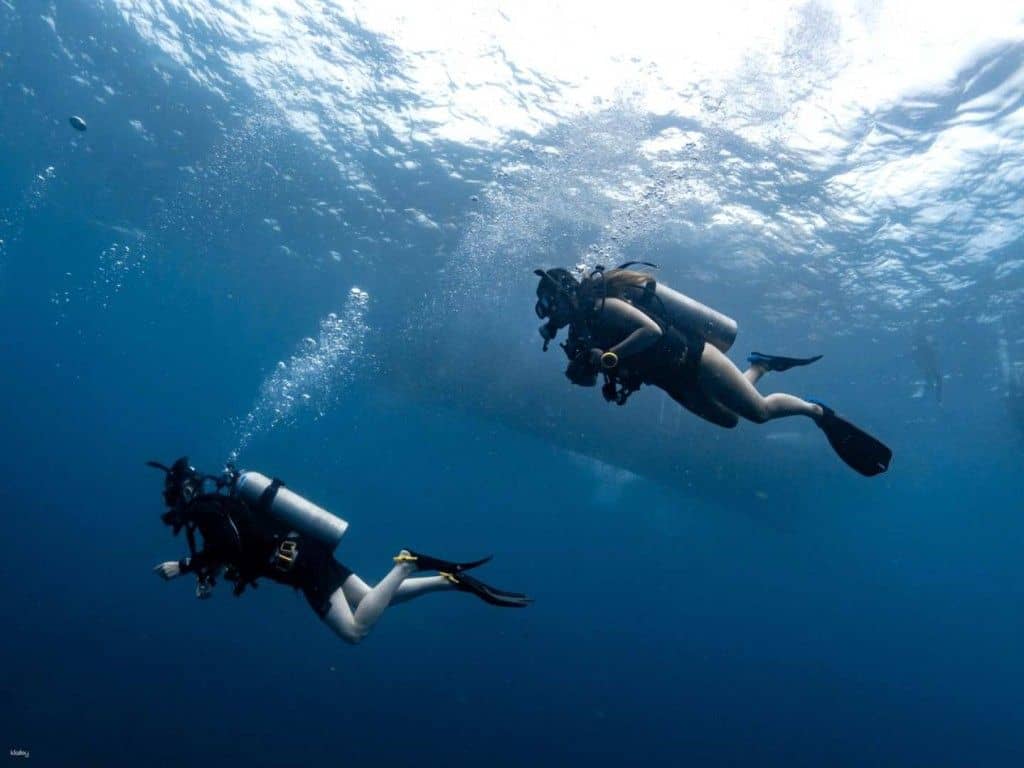 Basic Diver (One Day Experience) at Koh Tao Scuba Diving Club | Thailand