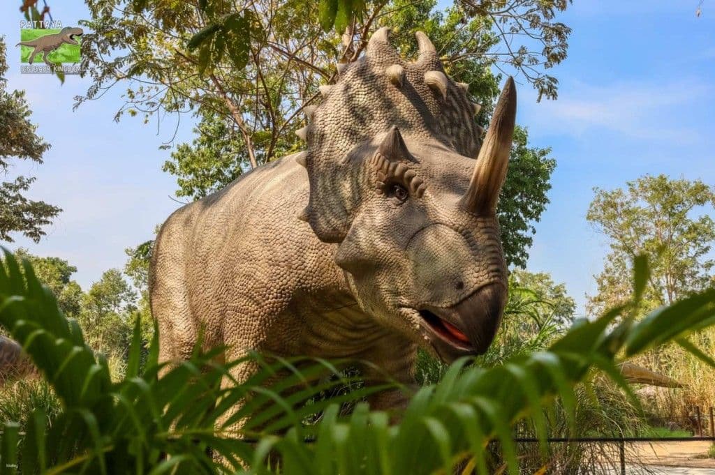 บัตรเข้าชม สวนไดโนเสาร์ พัทยา (Pattaya Dinosaur Kingdom)