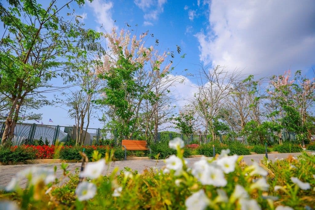 ฟลาวเวอร์แลนด์ พัทยา