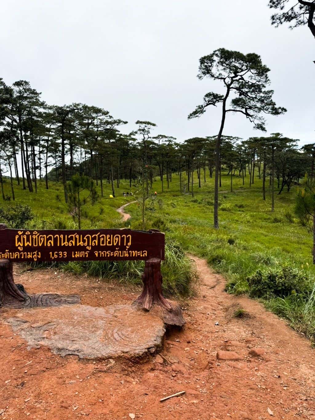 ทริปเดินป่า ภูสอยดาว อุทยานแห่งชาติภูสอยดาว จ.อุตรดิตถ์ 2 วัน 1 คืน4