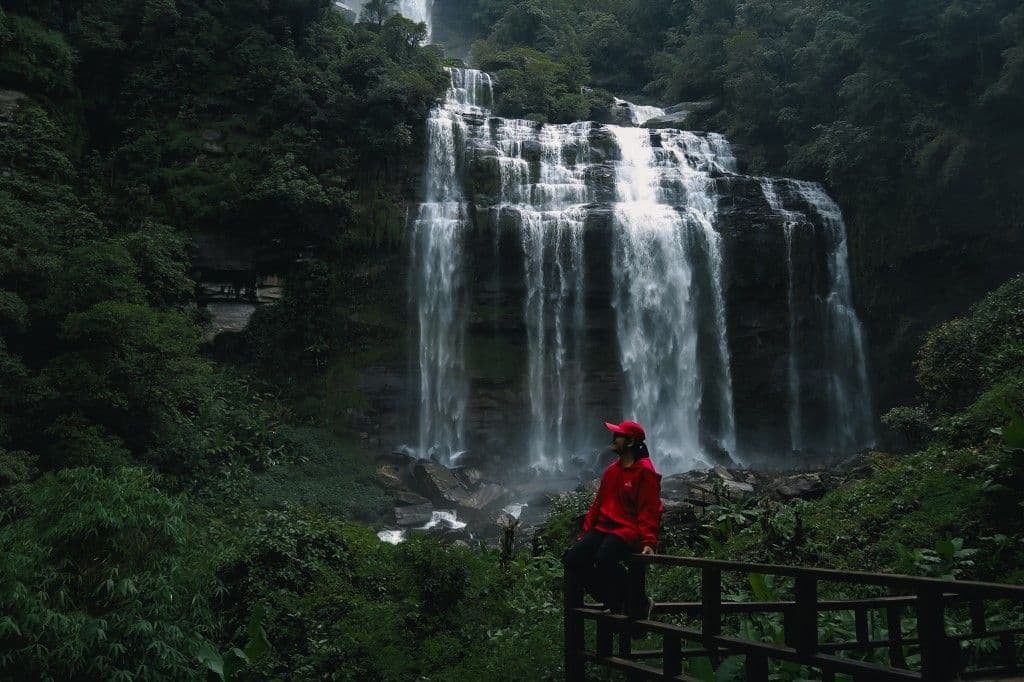 3-Day 2-Night Trek: Bolaven Zipline Adventure – Tad Fane, Tad Sua & Tad Chamue (Southern Laos)