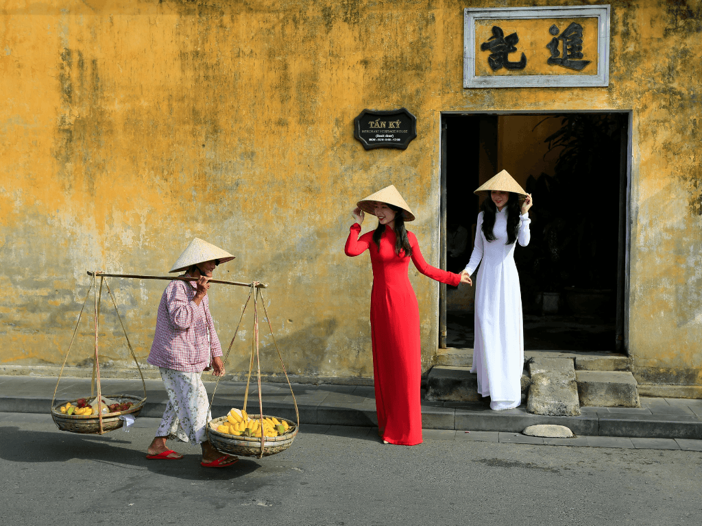 Vietnam Vinaphone/Viettel High-Speed Daily eSIM2