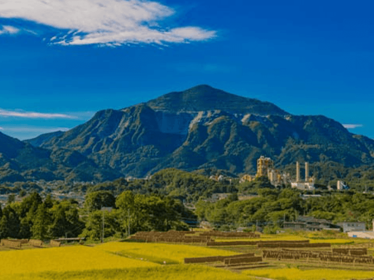 Greater Tokyo Pass (Valid for 90 days)3