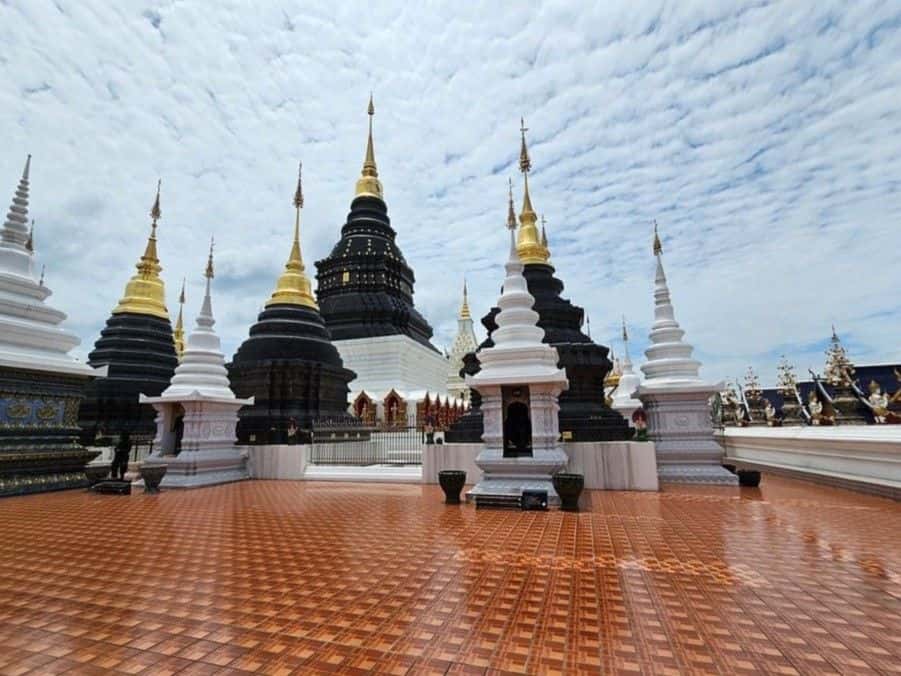Full Day : Elephant Sanctuary, Wat Ban Den, Sticky Waterfall I Chiang Mai Trips and Day Trips4