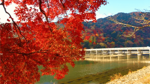 Keihan Railway | Kyoto–Osaka Sightseeing Pass E-voucher (1-Day or 2-Day) & OSAKA Metro 1-Day Pass3