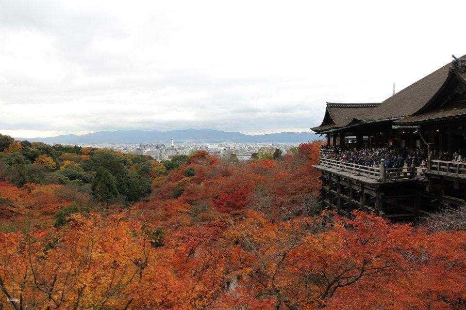 Japan JR Kansai Area Pass3
