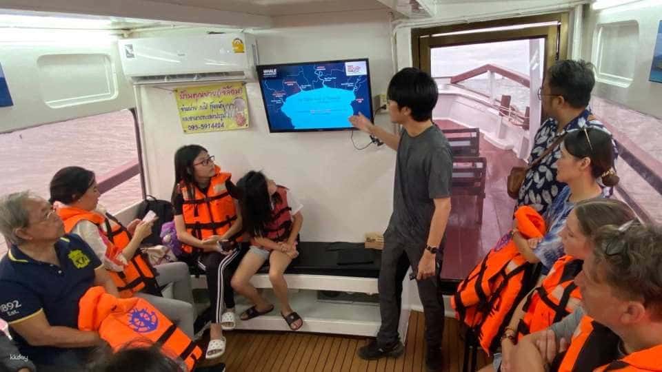 ทริปล่องเรือดูวาฬบรูด้าที่สมุทรสาคร4