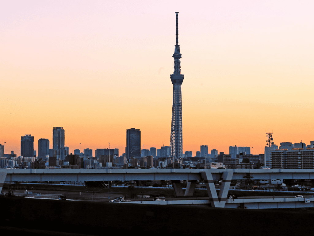 Japan eSIM: High-Speed per day / Total data plan eSIM3