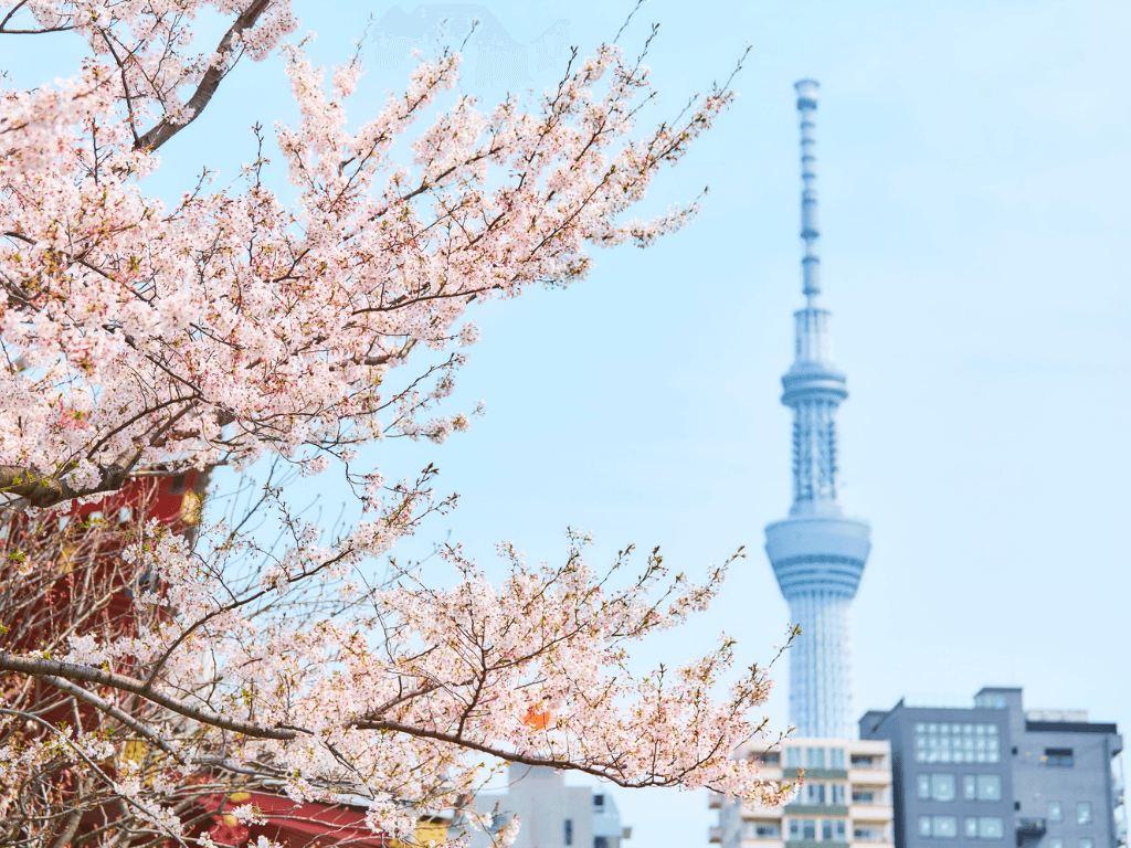 Japan eSIM: High-Speed per day / Total data plan eSIM4