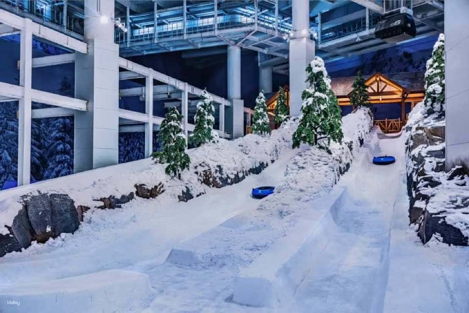 【ประเทศจีน】บัตรเข้าชมสวนสนุกน้ำแข็งและหิมะเซี่ยงไฮ้ Yaoxue|บัตรเข้าชมสวนสนุกหิมะ/บัตรเข้าชมสกี1