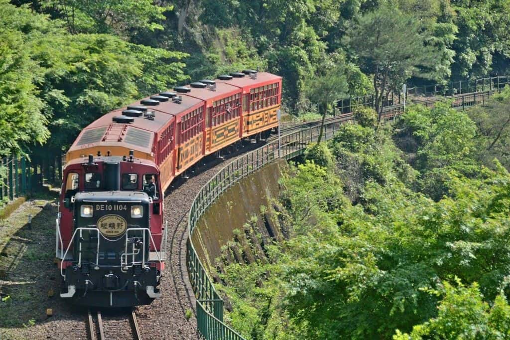 บัตรโดยสารรถไฟสายโรแมนติกซากาโนะ (เที่ยวเดียว)1
