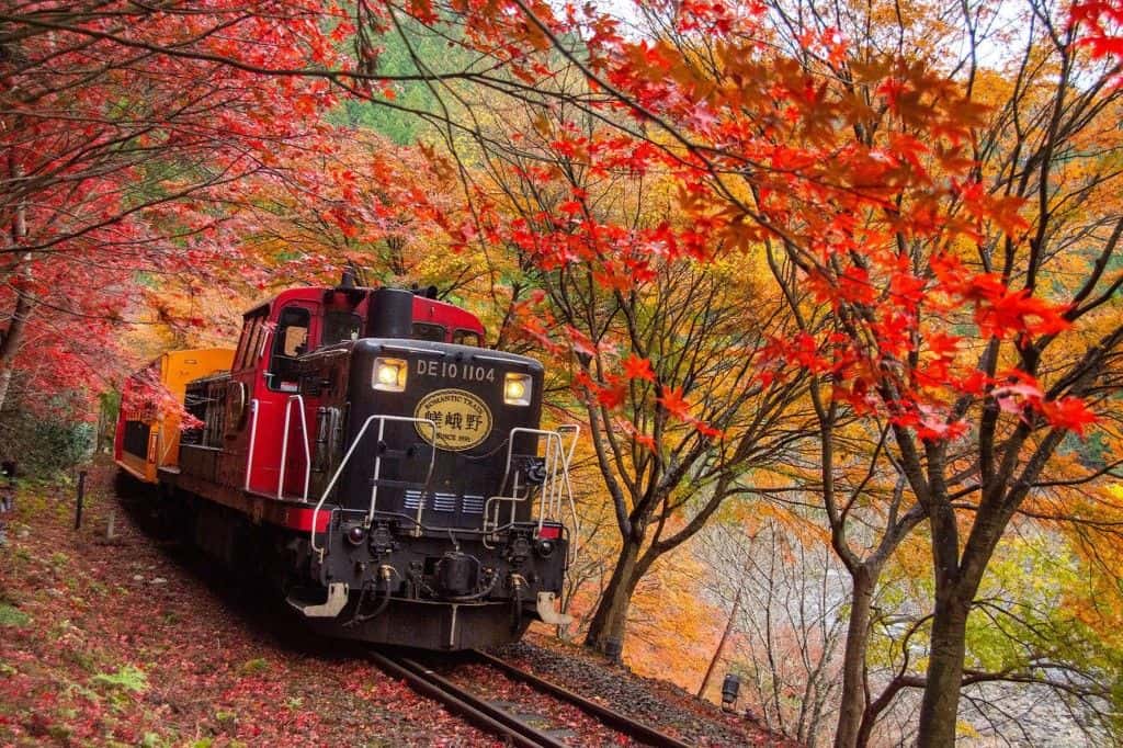 บัตรโดยสารรถไฟสายโรแมนติกซากาโนะ (เที่ยวเดียว)2
