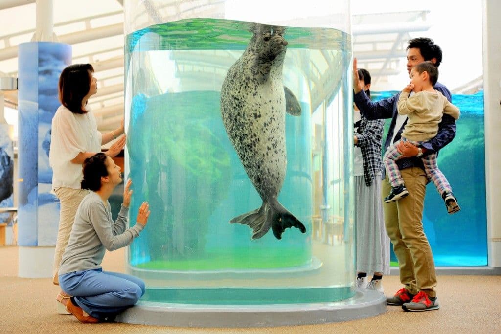 บัตรเข้าชมพิพิธภัณฑ์สัตว์น้ำเกียวโต (Kyoto Aquarium)