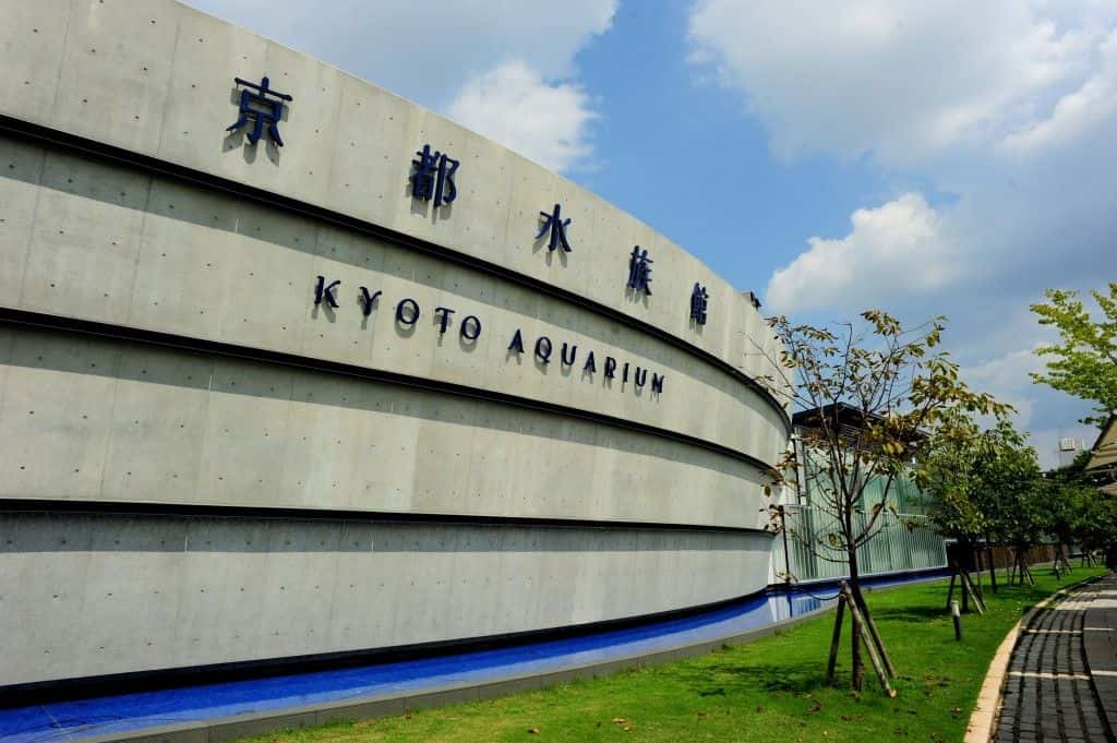 บัตรเข้าชมพิพิธภัณฑ์สัตว์น้ำเกียวโต (Kyoto Aquarium)2
