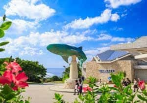บัตร Churaumi Tokutoku 5 Pass 2025 และ Okinawa Tokutoku 3 Pass (ใช้ได้ภายใน 30 วัน)3