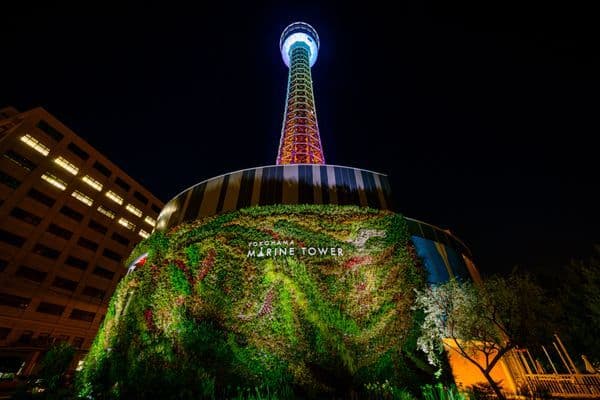 บัตรเข้าชม Yokohama Marine Tower
