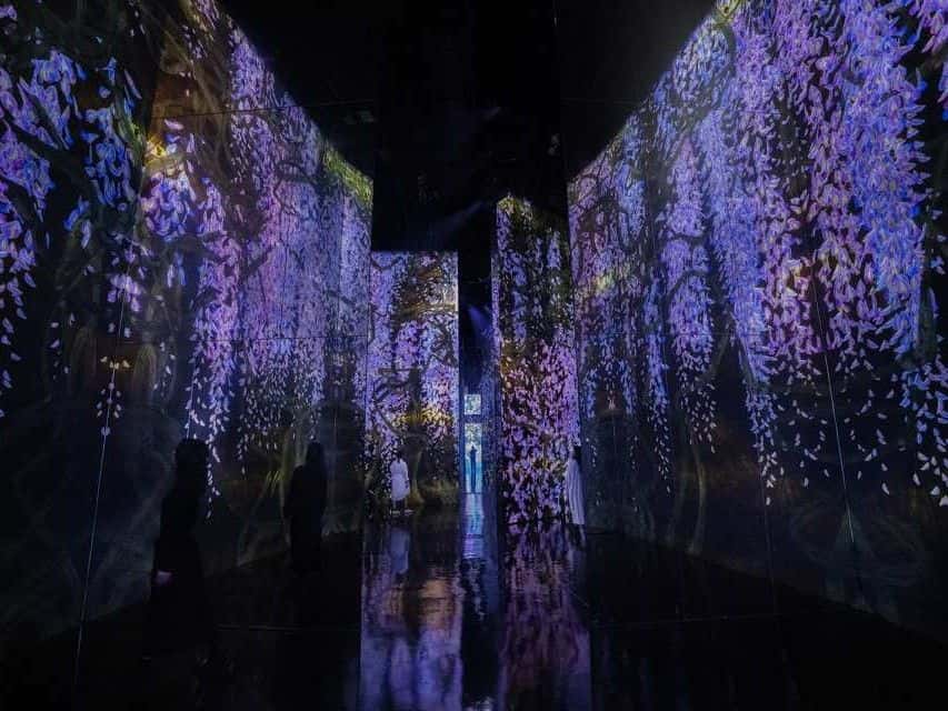 Macau teamLab SuperNature Ticket1